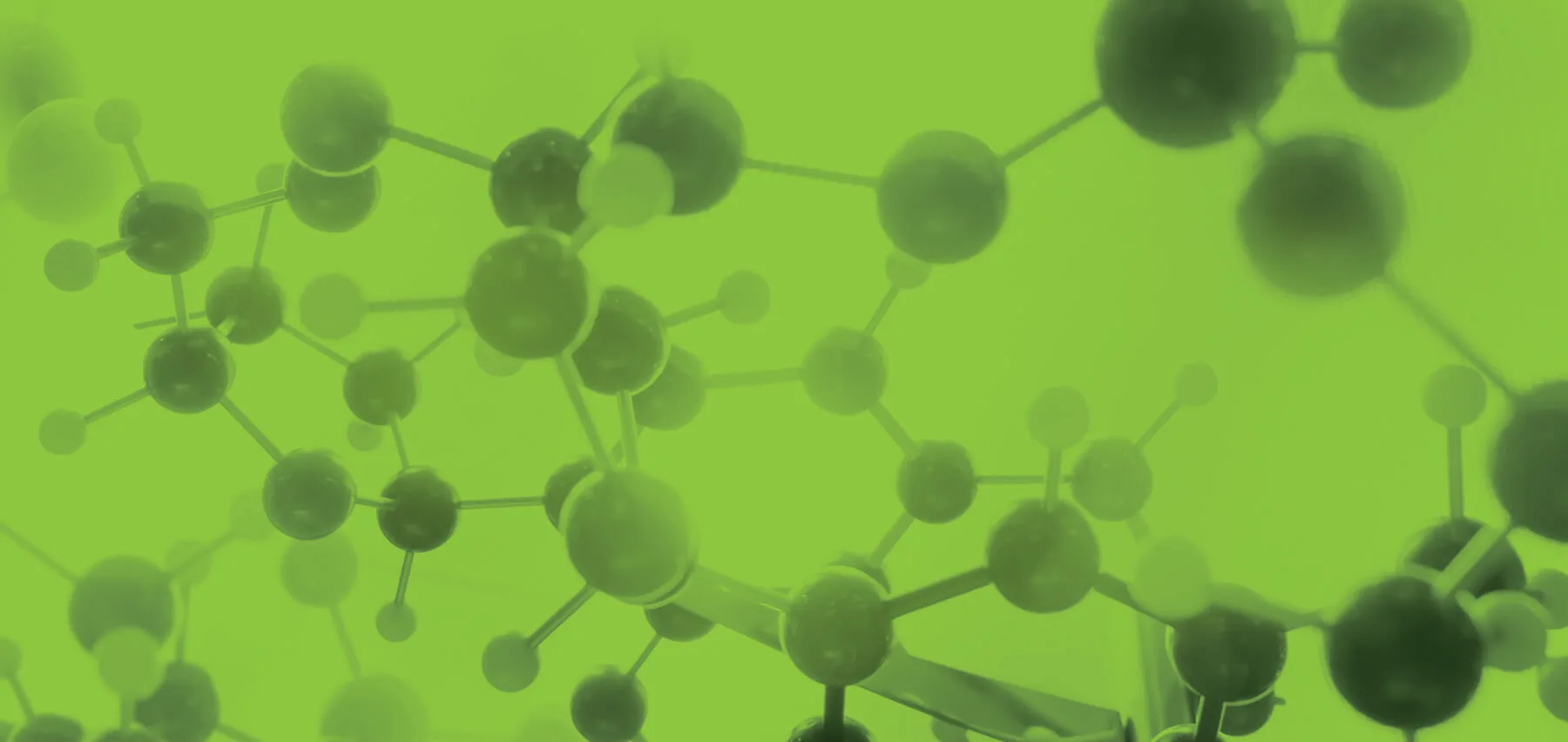 Successfully Establishing a Single Unified Brand Following Seven Global Acquisitions