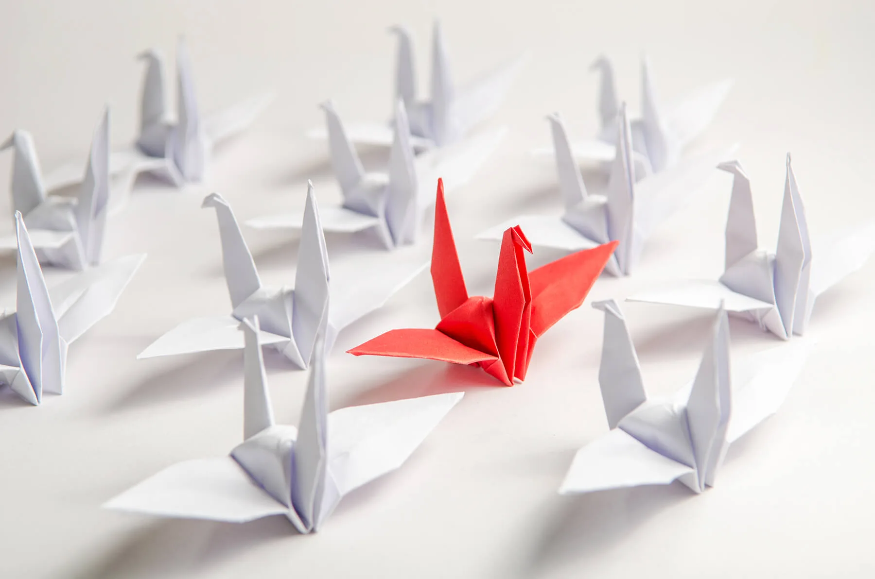 Dare to Be Different: Differentiate Yourself