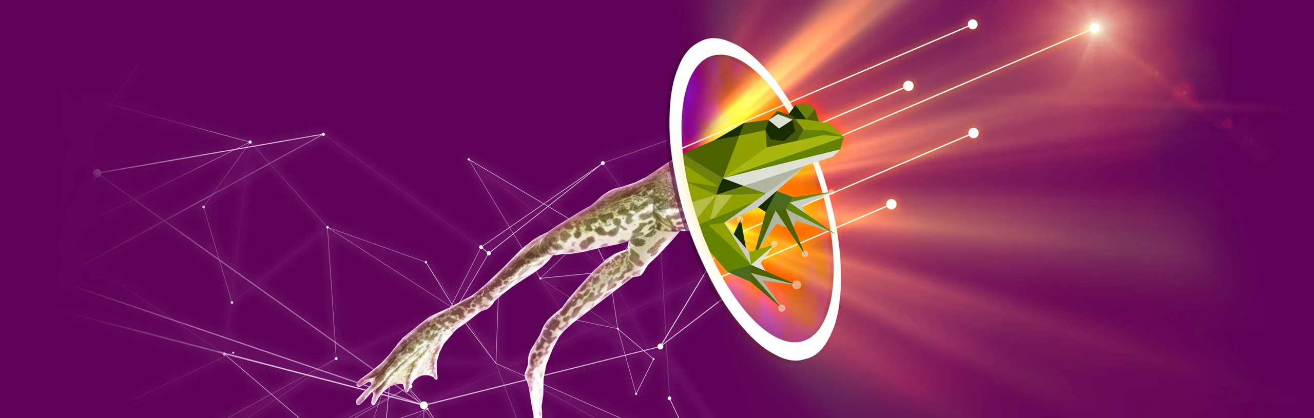 BullFrog AI