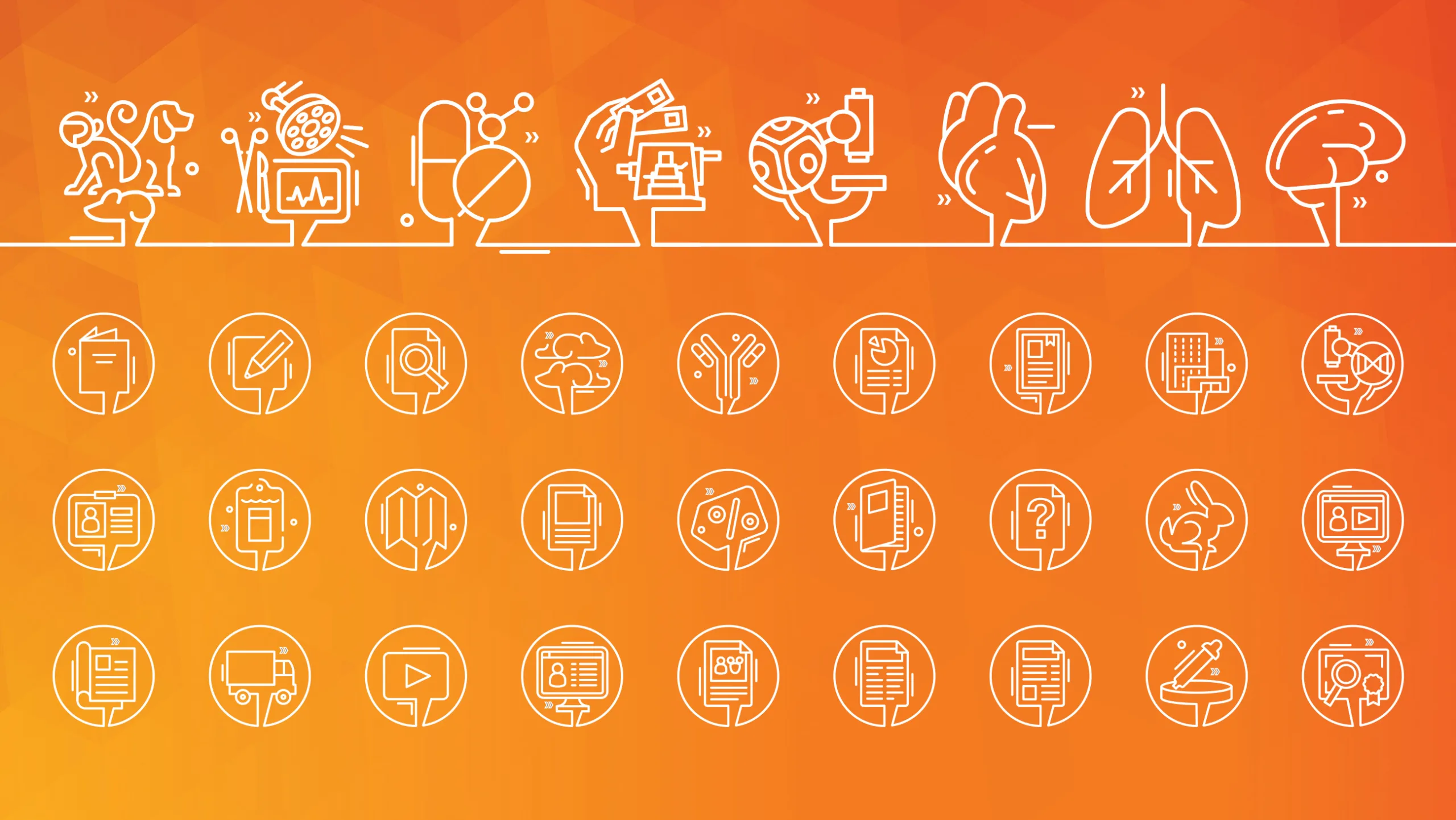 A showcase of icons. All are created to showcase elements of Inotiv and all are done in a single drawn line style.