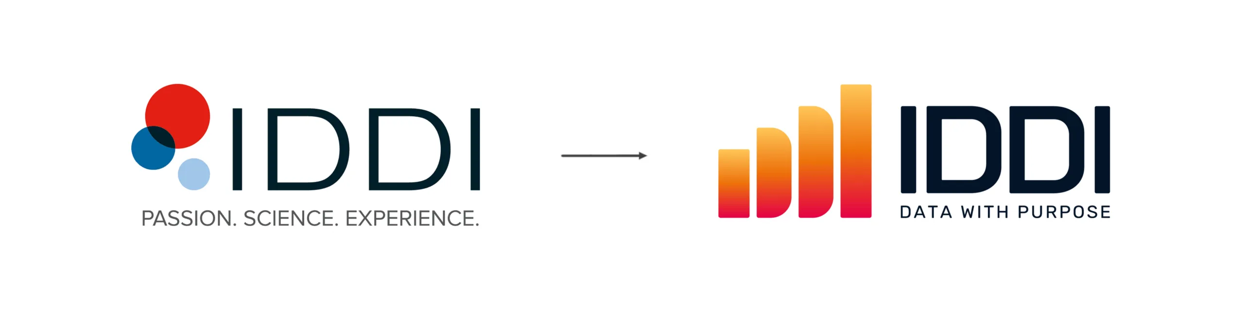 IDDI logo evolution showing transition from older circular design to modern gradient bar logo with tagline data with purpose